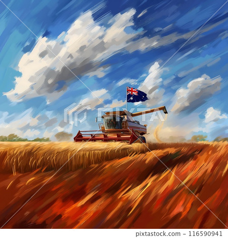 the combine harvester harvests wheat in the field 116590941