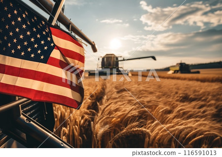 the combine harvester harvests wheat in the field with flag USA 116591013