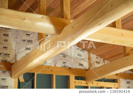 新建房屋地基施工現場的內部框架 116591419