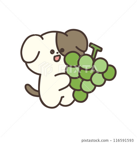 一隻可愛的狗抱著麝香葡萄的插圖 116591593
