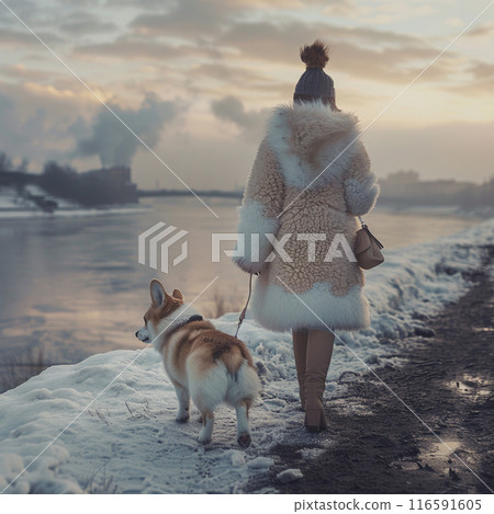 A girl in a white fluffy fur coat and a corgi dog walk along the embankment. 116591605