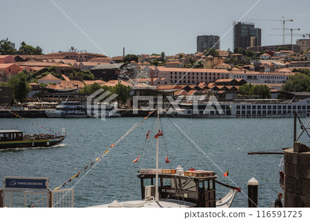 In the background is a city next to a vast expanse of water 116591725