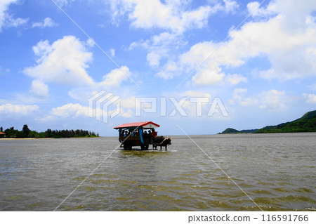 由布島渡海的水牛車 7月由布島38號水牛車,沖繩八重山群島 由布島渡海的水牛車 7月由布島38號水牛車,沖繩八重山群島 116591766