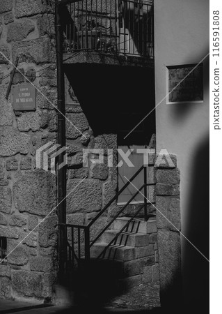 A grayscale image shows stairs ascending towards a structure A grayscale image shows stairs ascending towards a structure 116591808