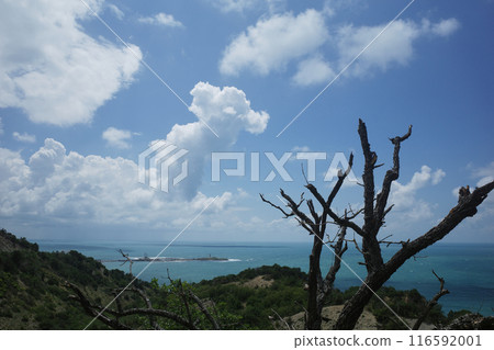 Bolshoy and Maly Utrish Nature Reserve. Dry trees after a fire. Protected area 116592001