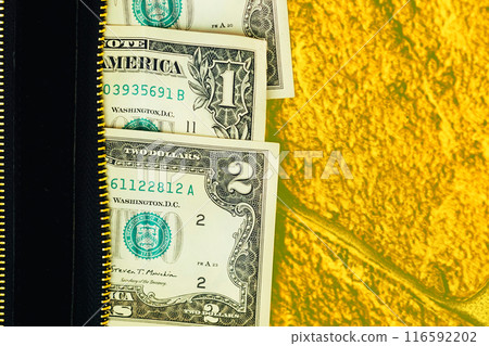 Banknotes in denominations of one, two dollars. Handbag, wallet, clutch Banknotes in denominations of one, two dollars. Handbag, wallet, clutch 116592202
