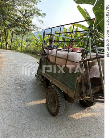Country road in Mai Chau 116592790