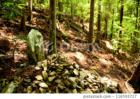 Sai-no-Kawara Jizo (Kogumotori-goe) [Kumanogawa-cho, Shingu City, Wakayama Prefecture] 116593727