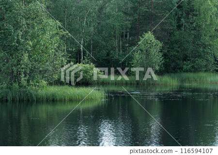beautiful summer calm lake in green forest 116594107