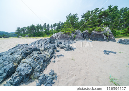 「青森縣」陸奧海風步道 大須賀海岸風景/八戶市 116594327