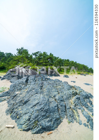 「青森縣」陸奧海風步道 大須賀海岸風景/八戶市 116594330