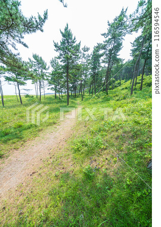 "Aomori Prefecture" Michinoku Sea Breeze Trail Osuka Coast Scenery, Hachinohe City 116594546