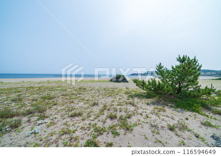 「青森縣」陸奧海風步道 大須賀海岸風景/八戶市 116594649