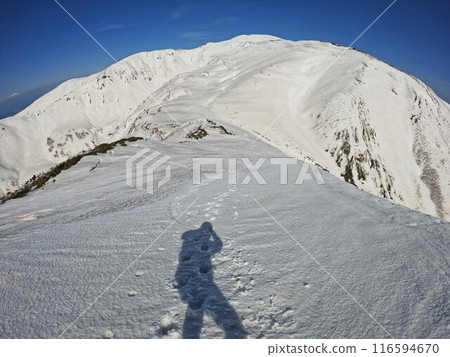 Shadow of a climber looking at Mt. Gassan in winter from Mt. Yudono Shadow of a climber looking at Mt. Gassan in winter from Mt. Yudono 116594670