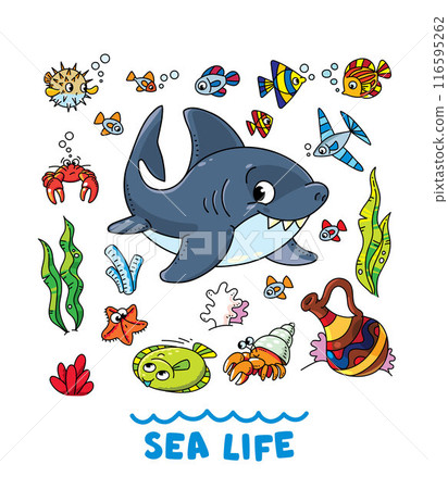 Sea theme. Shark. Kids vector illustration set 116595262