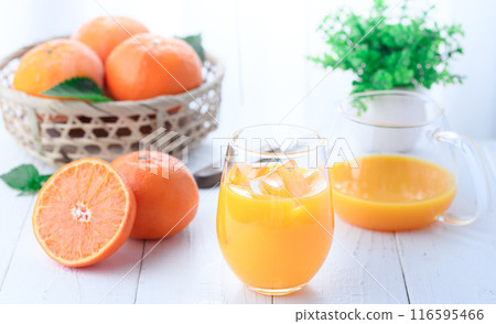 100% freshly squeezed orange juice 116595466
