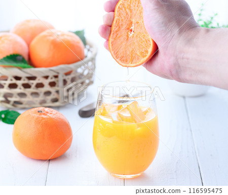 100% freshly squeezed orange juice 116595475