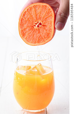 100% freshly squeezed orange juice 116595484