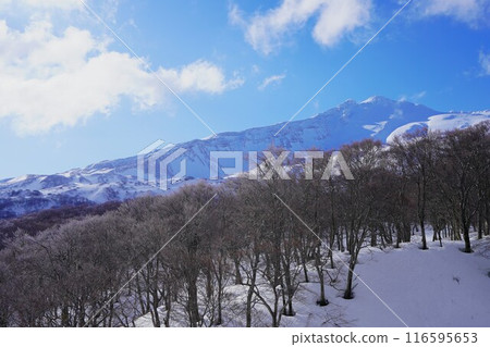 從森林看冬天的鳥海山東北方山脊 從森林看冬天的鳥海山東北方山脊 116595653
