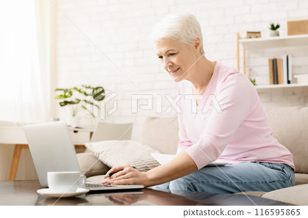 Brain training with education online, elderly learning activity. Senior woman using laptop at home, empty space 116595865