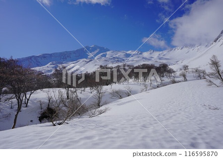 冬季的長嶽山脈和鳥海山的雪原 冬季的長嶽山脈和鳥海山的雪原 116595870