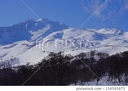 從長嶽山脈眺望冬季的鳥海山 116595873