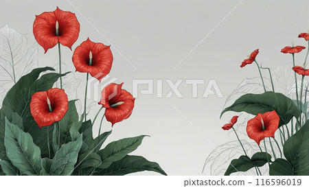 Red anthurium flowers and green leaves on a white background, emphasizing a blend of natural and artistic elements. Red anthurium flowers and green leaves on a white background, emphasizing a blend of natural and artistic elements. 116596019