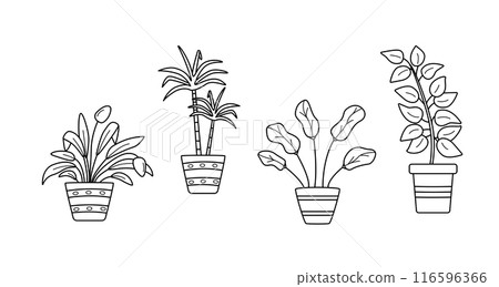 Cartoon flowers in pots outline. Vector illustration of indoor plants for the interior. 116596366
