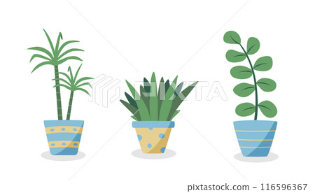 Cartoon flowers in pots. Vector illustration of indoor plants for the interior. 116596367