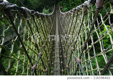 太魯閣峽谷吊橋 116596402