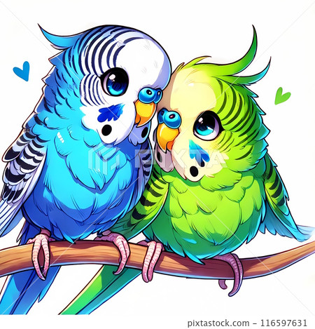 Two cartoon-style friendly budgerigars 3 Two cartoon-style friendly budgerigars 3 116597631