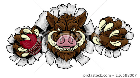 Boar Wild Hog Razorback Warthog Pig Cricket Mascot Boar Wild Hog Razorback Warthog Pig Cricket Mascot 116598007