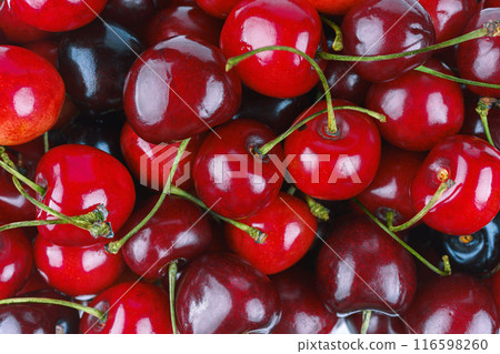 Fresh sweet cherry background. Top view of bunch of bright red organic cherries close up, macro Fresh sweet cherry background. Top view of bunch of bright red organic cherries close up, macro 116598260