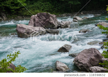 "Image of a rapids, a mountain stream in summer" Upper reaches of the Maze River, Gifu Prefecture 116598632