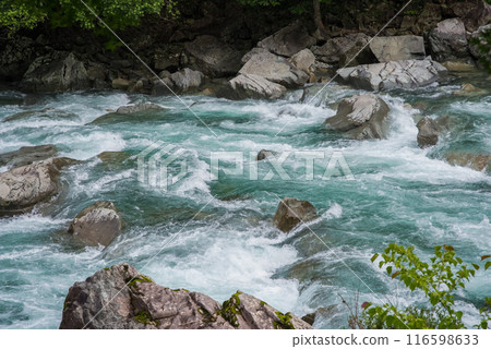 "Image of a rapids, a mountain stream in summer" Upper reaches of the Maze River, Gifu Prefecture 116598633