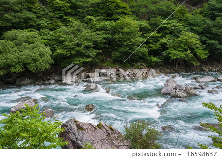 [激流影像/夏季溪流]岐阜縣馬瀨川上游 116598637
