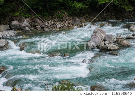 "Image of a rapids, a mountain stream in summer" Upper reaches of the Maze River, Gifu Prefecture 116598640