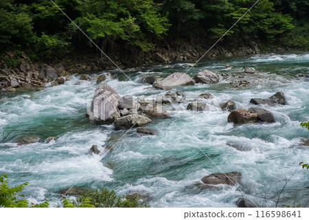 "Image of a rapids, a mountain stream in summer" Upper reaches of the Maze River, Gifu Prefecture 116598641
