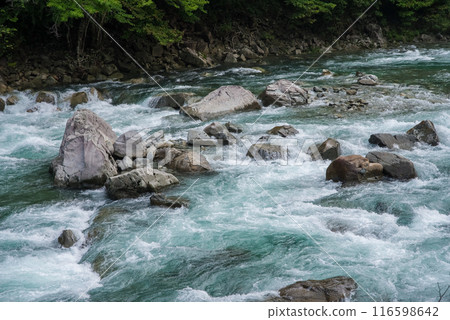 [激流影像/夏季溪流]岐阜縣馬瀨川上游 116598642