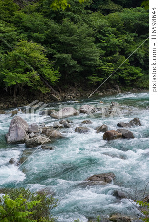 "Image of a rapids, a mountain stream in summer" Upper reaches of the Maze River, Gifu Prefecture 116598643