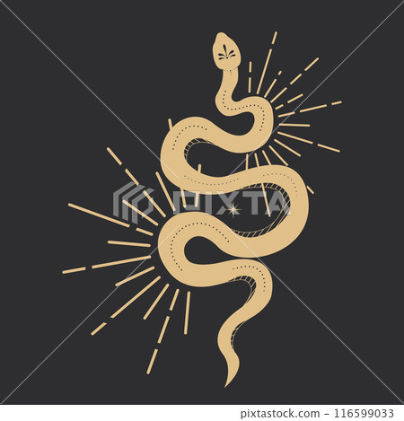 Celestial serpent snake, esoteric tarot or tattoo mystery sacred symbol. Linocut style boho. Occultism and religion, sacred rites and sacrifice. Reptile 116599033