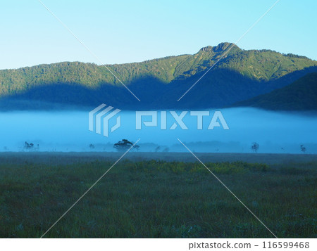 從尾瀨原/下田代看初秋的慶鶴山 從尾瀨原/下田代看初秋的慶鶴山 116599468