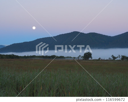 Ozegahara and Shimodashiro in the early morning 116599672