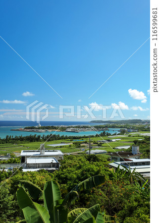 Summer in Okinawa: Scenery of Nanjo City, Ojima 116599681
