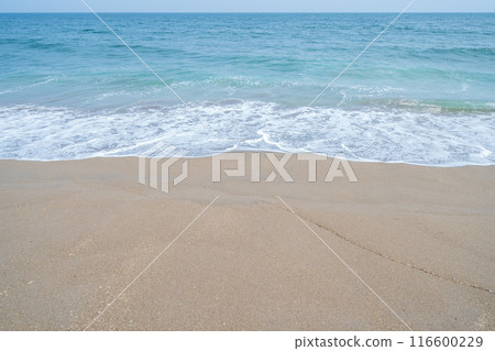 「青森縣」陸奧海風步道 大須賀海岸風景/八戶市 116600229