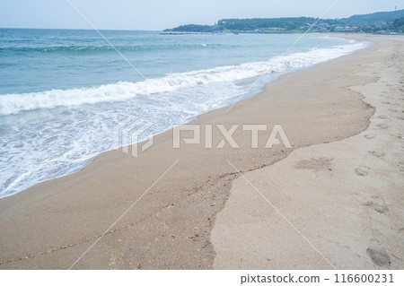 「青森縣」陸奧海風步道 大須賀海岸風景/八戶市 116600231
