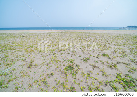「青森縣」陸奧海風步道 大須賀海岸風景/八戶市 「青森縣」陸奧海風步道 大須賀海岸風景/八戶市 116600306
