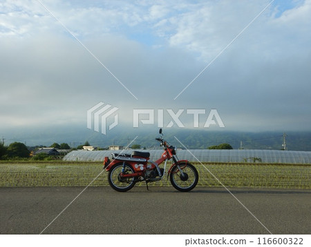 獵人幼崽在田野旁休息 獵人幼崽在田野旁休息 116600322