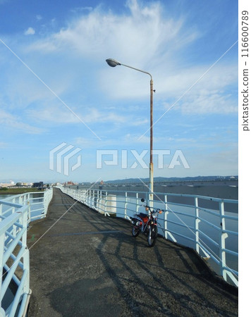 在狹窄的橋上騎自行車 在狹窄的橋上騎自行車 116600789