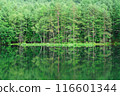 Shrine pond 116601344